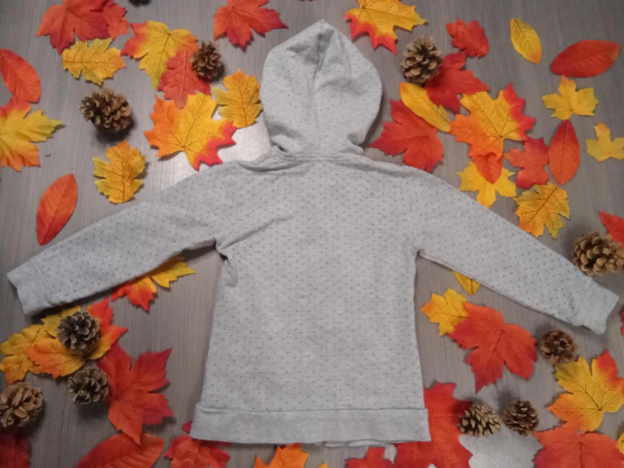 Bonita chaqueta gris con capucha Lili Rose 4 años – photo 2